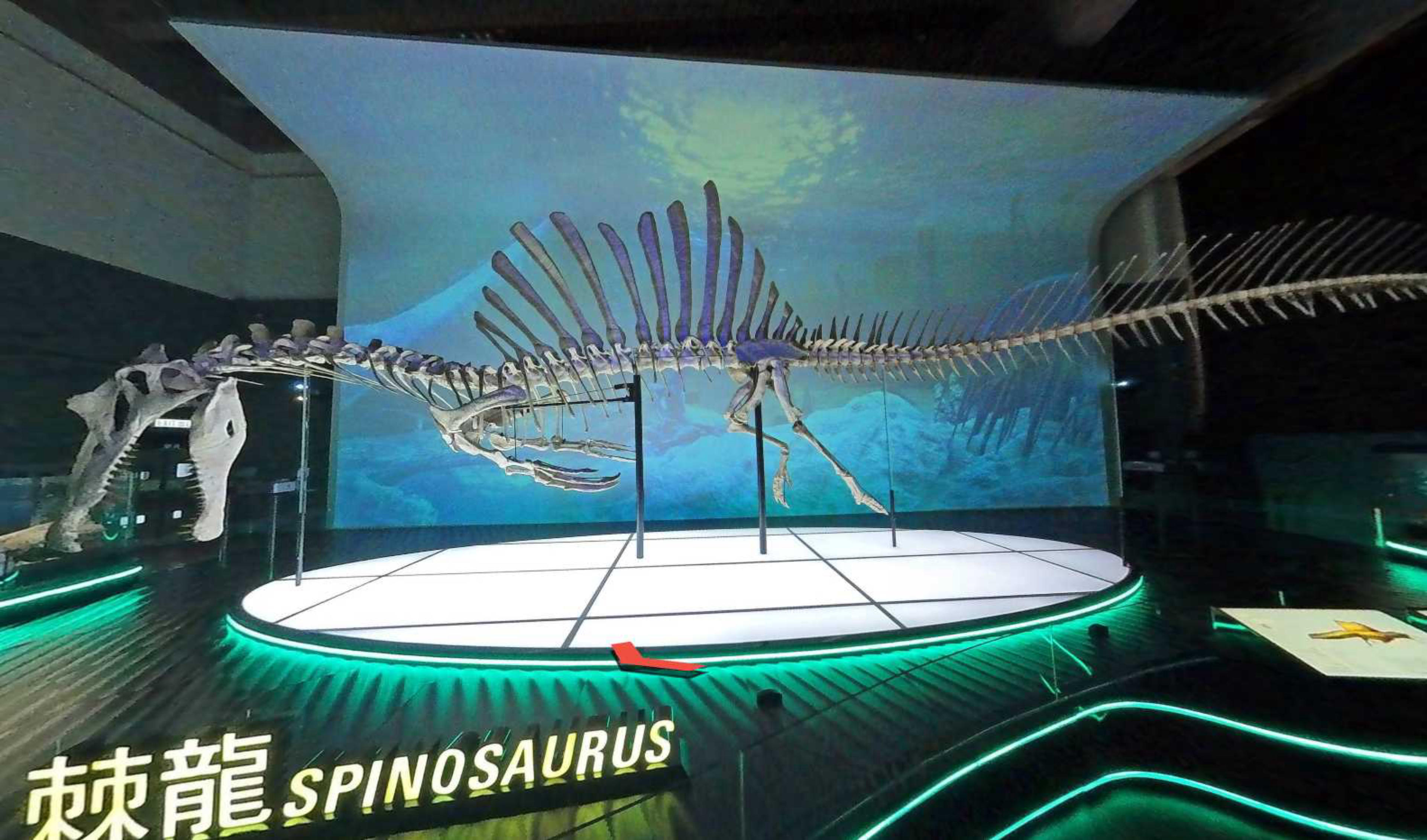 Hong Kong Science Museum virtual tour preview