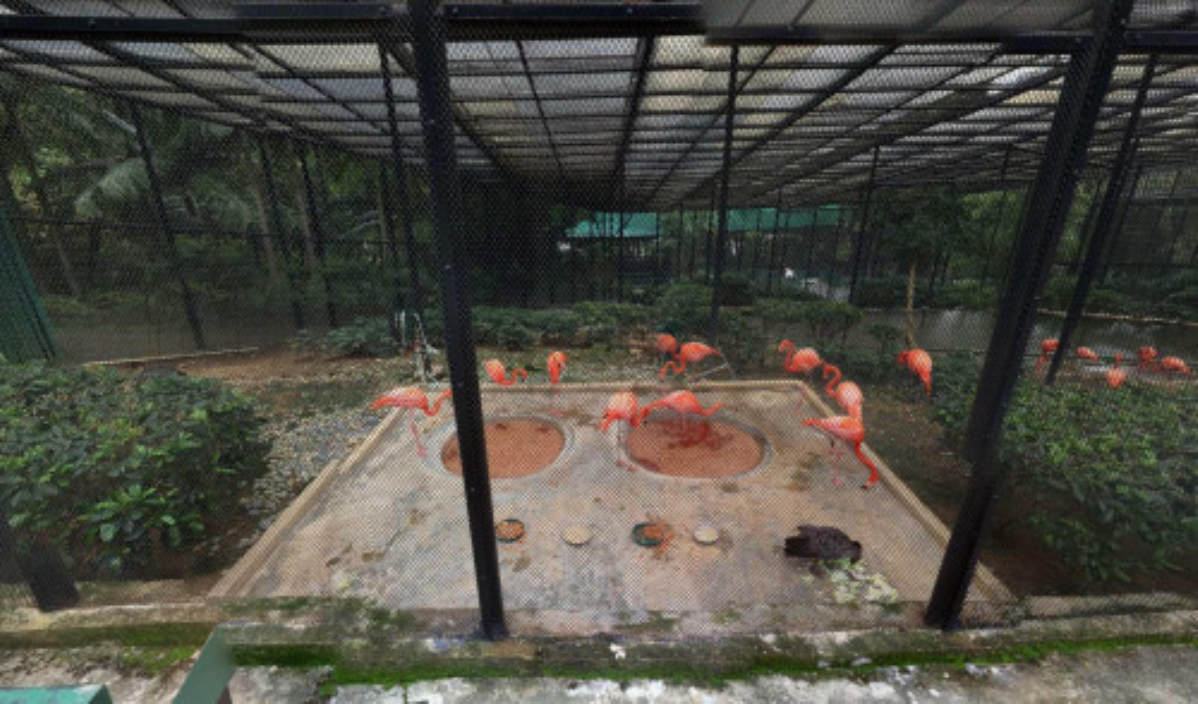 Hong Kong Zoological and Botanical Gardens GreenHouse virtual tour preview